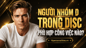 người nhóm D trong DISC phù hợp công việc nào