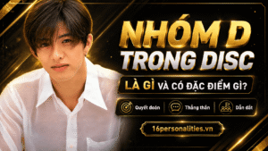 nhóm D trong DISC là gì