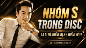 nhóm S trong DISC là gì