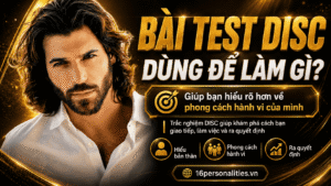 tính cách DISC là gì