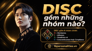 DISC gồm những nhóm nào?