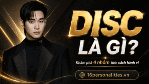 Test DISC tiếng Việt