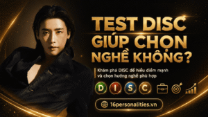 test DISC giúp chọn nghề không?