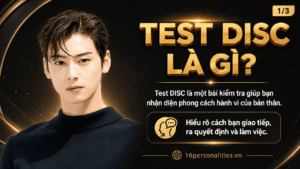 test DISC là gì